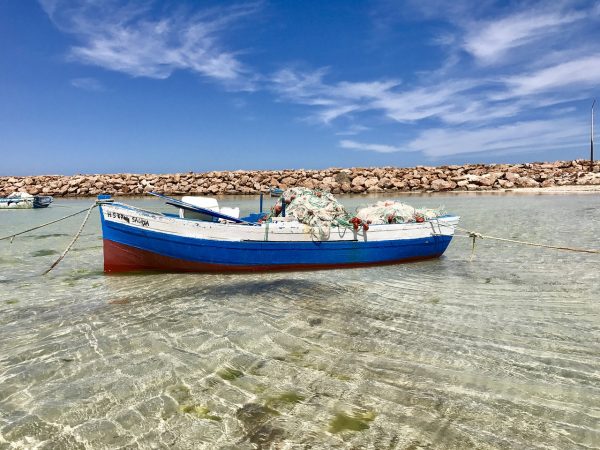 Séjour en Tunisie, du 06 au 13 octobre 2025 – Image 4