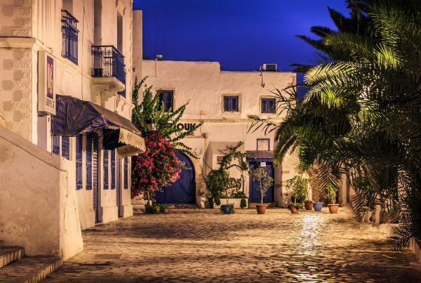 Séjour en Tunisie, du 06 au 13 octobre 2025 – Image 5