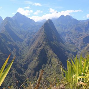 Séjour - ile de la Réunion 1er au 10 juin 2025