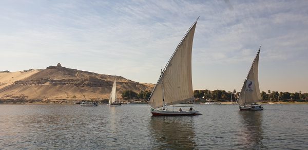 Circuit Egypte, du 13 au 25 novembre 2025 – Image 2