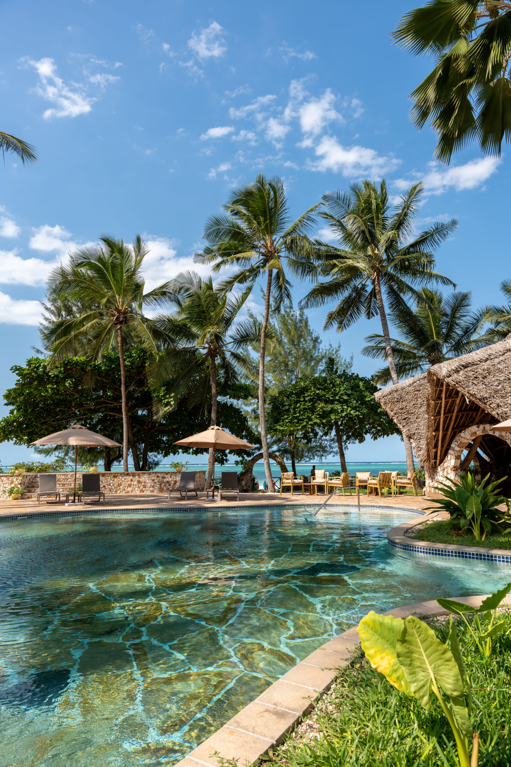 GIR PREMIUM // Circuit Tanzanie Safari Saadani & Zanzibar- MAI ou NOVEMBRE 2026 – Image 3