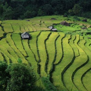 Circuit au Vietnam, du 03 au 14 novembre 2026