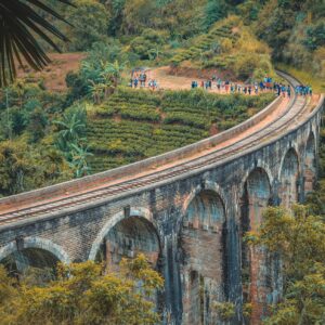Circuit au Sri Lanka - Du 1er au 12 novembre 2027